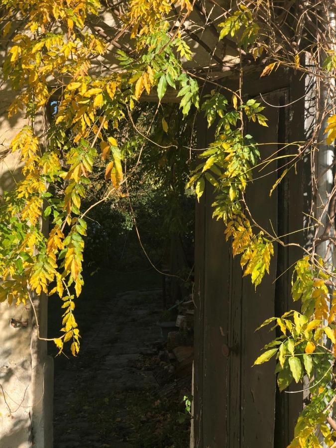 布瓦西-圣莱热Dans Un Cadre Exceptionnel, Ferme Renovee A 17Km De Paris别墅 外观 照片